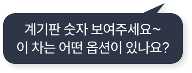 계기판 숫자 보여주세요 이차는 어떤 옵션이 있나요?